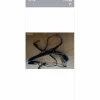 Collier de chasse bleu marine