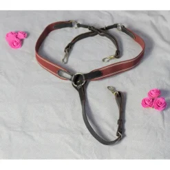 Collier de chasse bordeaux