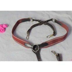 Collier de chasse bordeaux