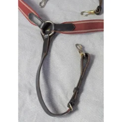 Collier de chasse bordeaux