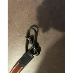 Collier de chasse chetak