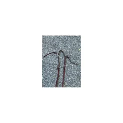 Collier de chasse cheval