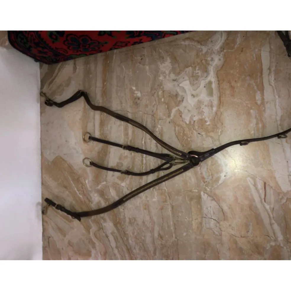 Collier de chasse clencher