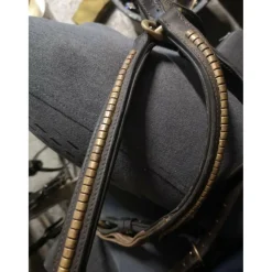Collier de chasse clincher pro tanner