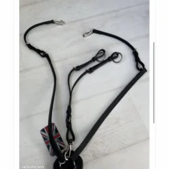 Collier de chasse COB