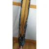 Collier de chasse cob