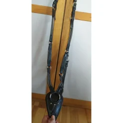 Collier de chasse cob