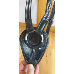 Collier de chasse cob