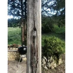 collier de chasse combiné martinguale anneaux