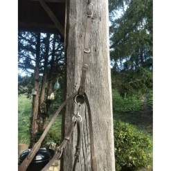 collier de chasse combiné martinguale anneaux