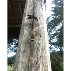 collier de chasse combiné martinguale anneaux