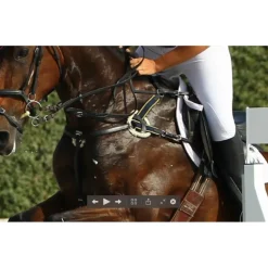 Collier de chasse CSO