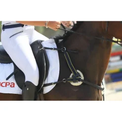 Collier de chasse CSO