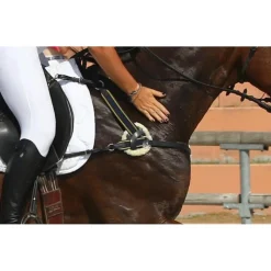 Collier de chasse CSO