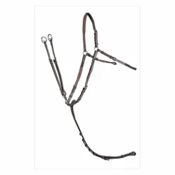 Collier de chasse CWD