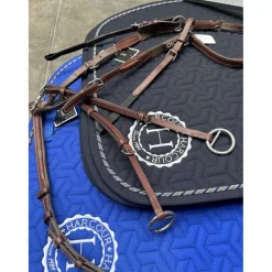 Collier de chasse CWD