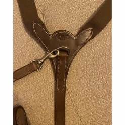 Collier de chasse CWD