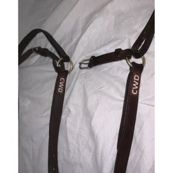 Collier de chasse CWD