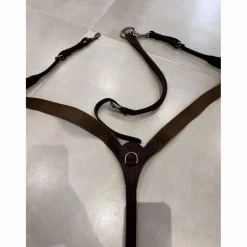 Collier de chasse cwd