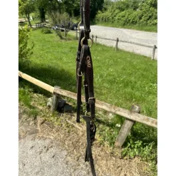 Collier de chasse cwd