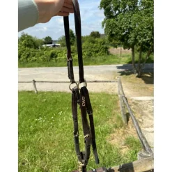 Collier de chasse cwd