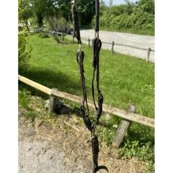 Collier de chasse cwd