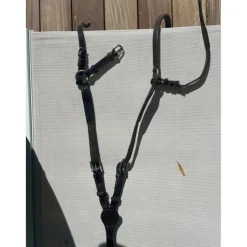 Collier de chasse CWD