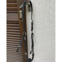 Collier de chasse CWD