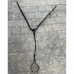 collier de chasse cwd