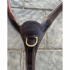 collier de chasse cwd