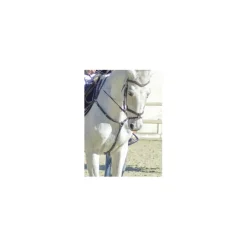 Collier de chasse CWD