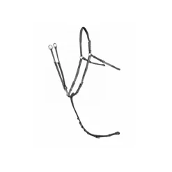 Collier de chasse CWD