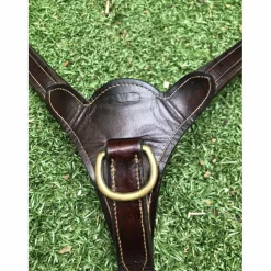 Collier de chasse CWD