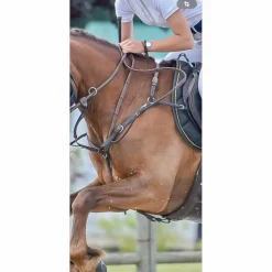 Collier de chasse CWD marron taille cob