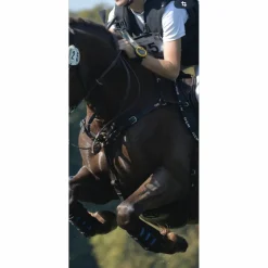 Collier de chasse CWD marron taille cob