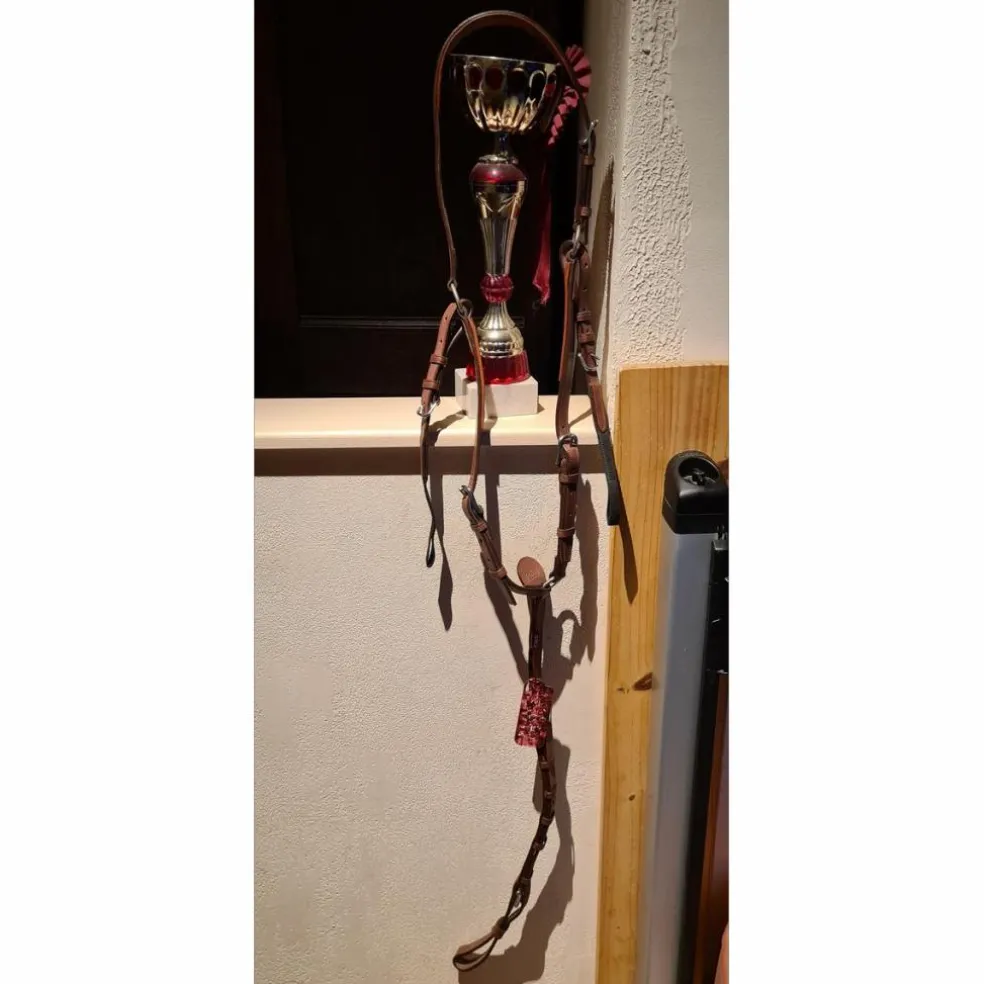 Collier de chasse CWD Neuf