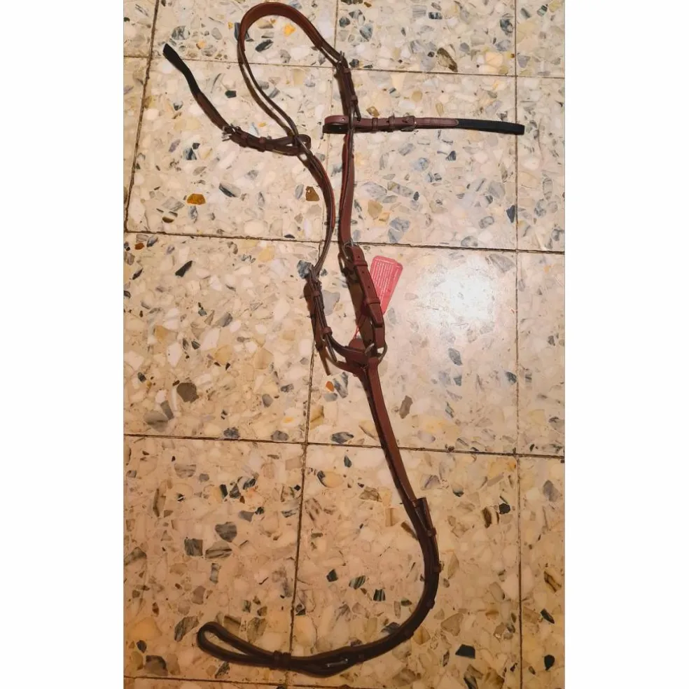 Collier de chasse CWD Neuf