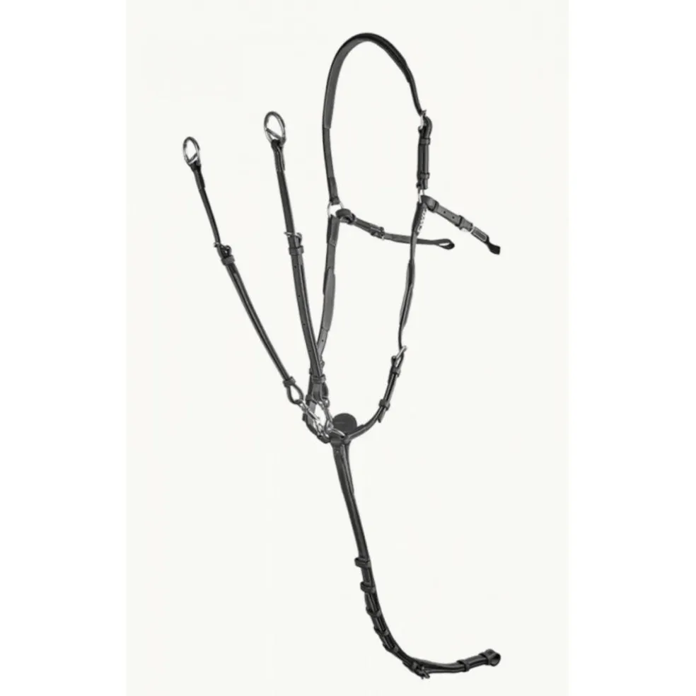 Collier de chasse CWD noir