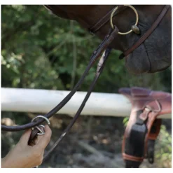 Collier de chasse CWD noir