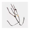 Collier de Chasse Devoucoux