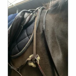 Collier de Chasse Devoucoux