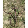Collier de chasse Devoucoux NEUF