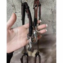 collier de chasse devoucoux