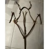 Collier de chasse Devoucoux