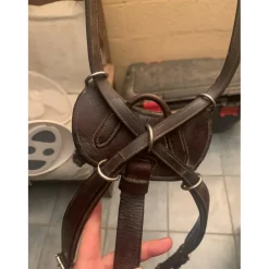 Collier de chasse Dy’on