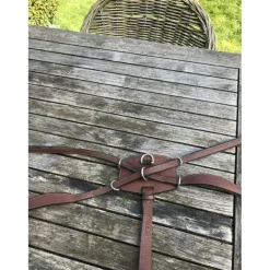 Collier de chasse Dy’on