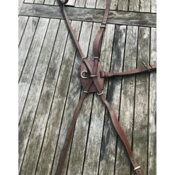 Collier de chasse Dy’on