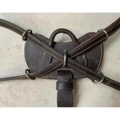 Collier de chasse Dyon 5 points Taille poney marron, bon état
