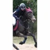 Collier de chasse en cuir marron Equipe