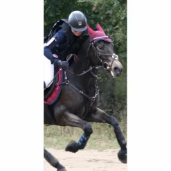 Collier de chasse en cuir marron Equipe